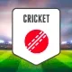 Fantasy menu tile. The art prints the word Cricket.